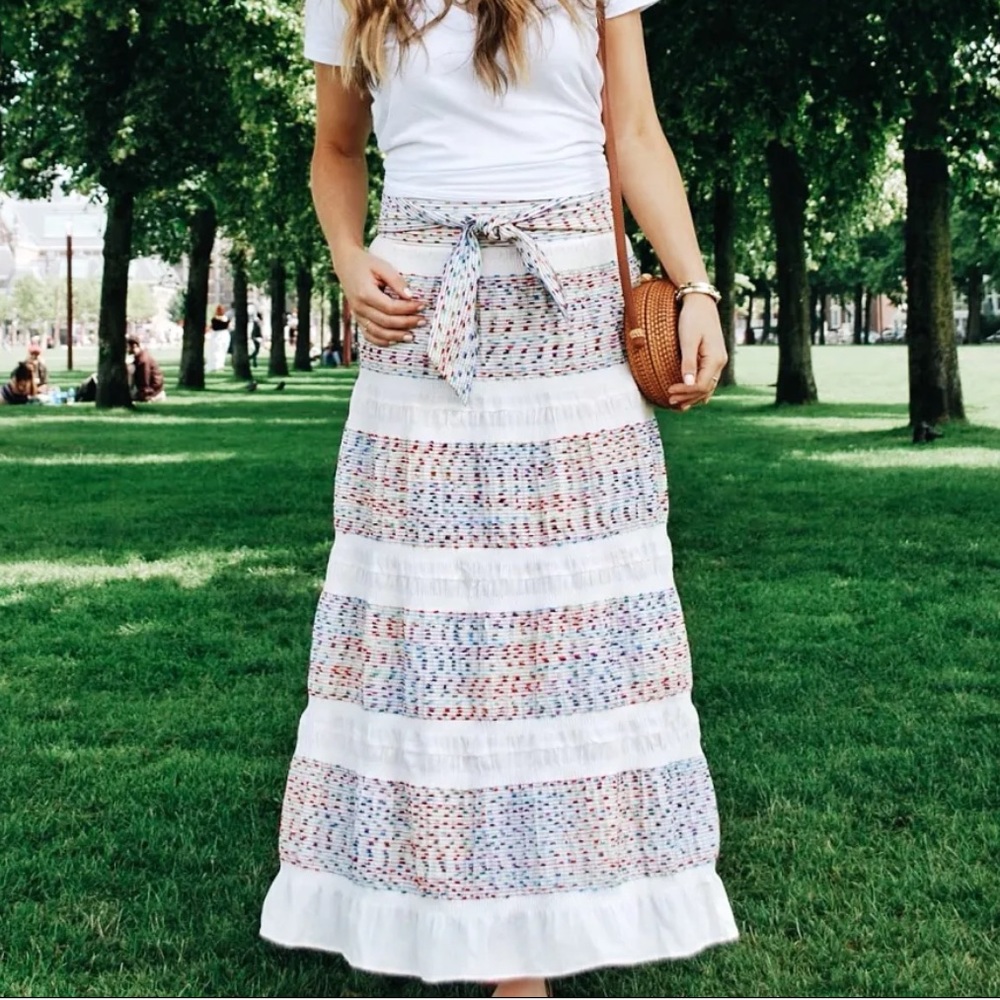 Zara - NWT multi colored embroidered maxi skirt